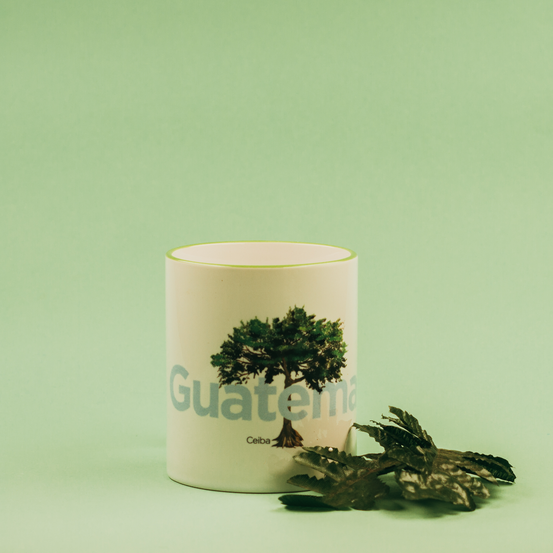 Taza Árbol Nacional de Guatemala: La Ceiba