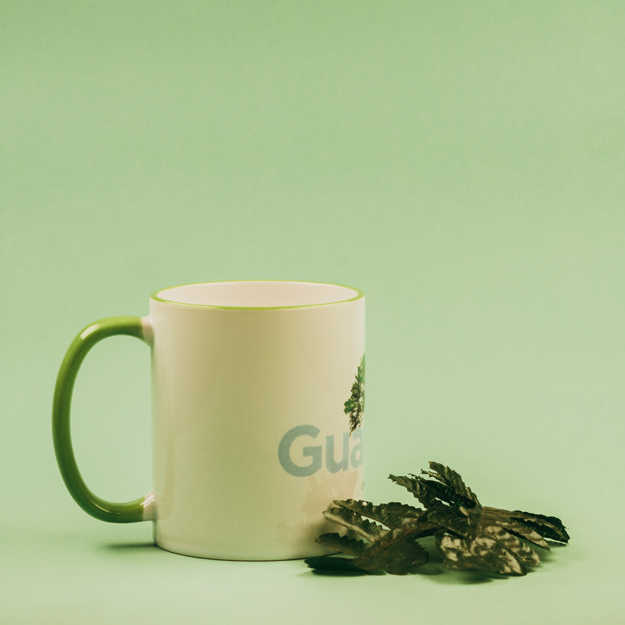 Taza Árbol Nacional de Guatemala: La Ceiba - Imagen 2