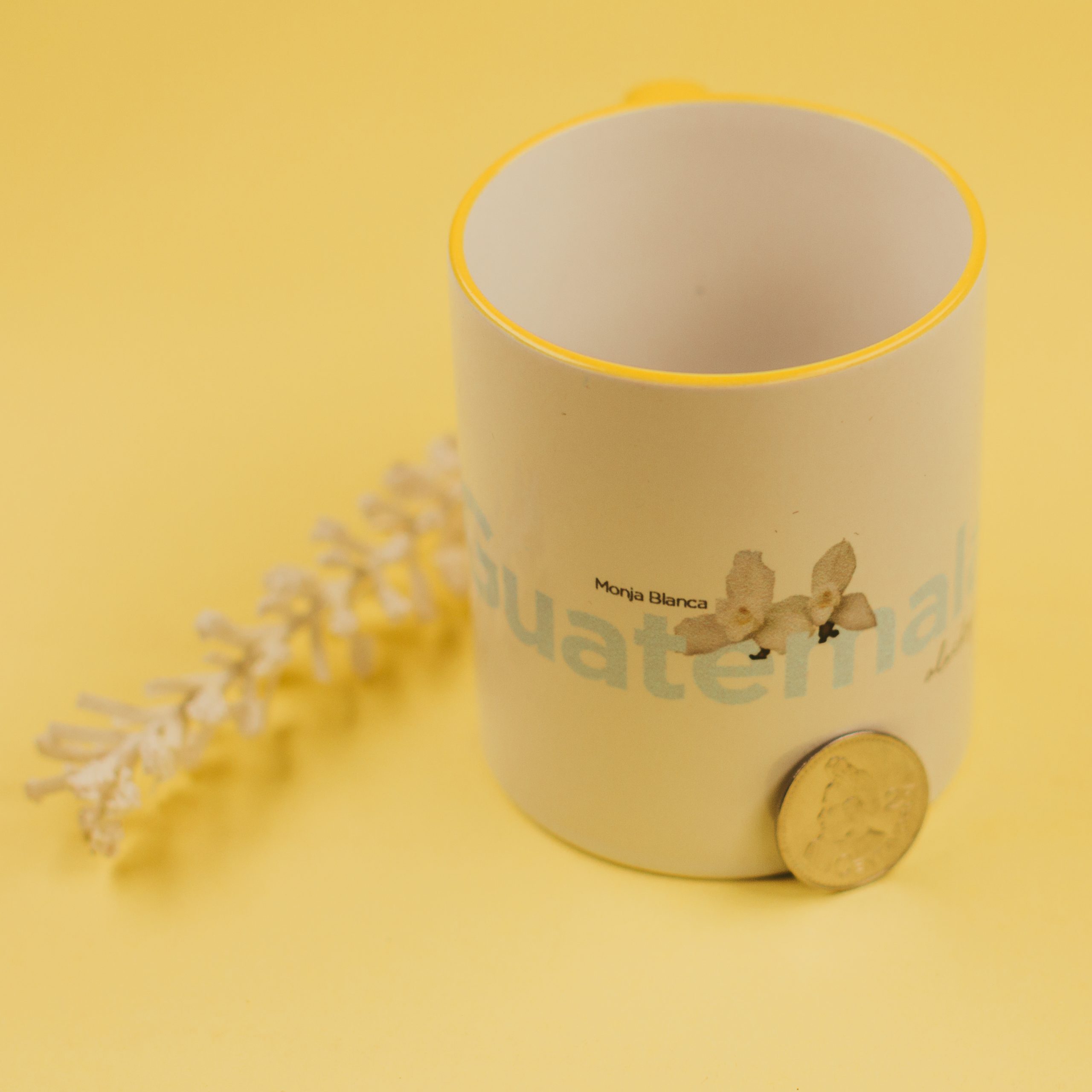 Taza Flor Nacional de Guatemala: Monja Blanca